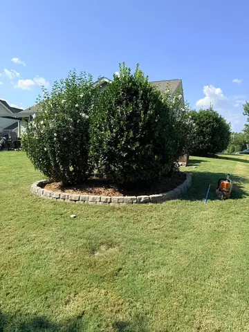 Lawn with neatly trimmed shrubs and stone border.