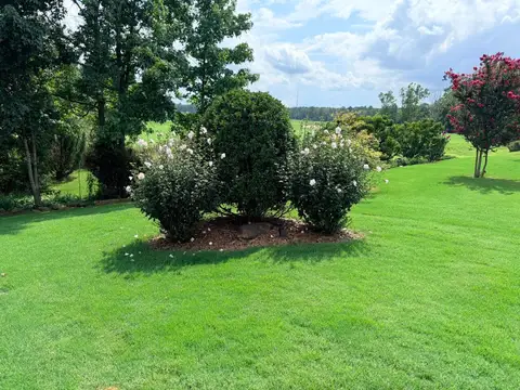 Circular flower bed with vibrant blooms and mulch.