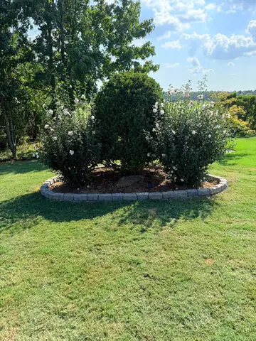 Flowering shrubs in a circular bed on a grassy lawn.