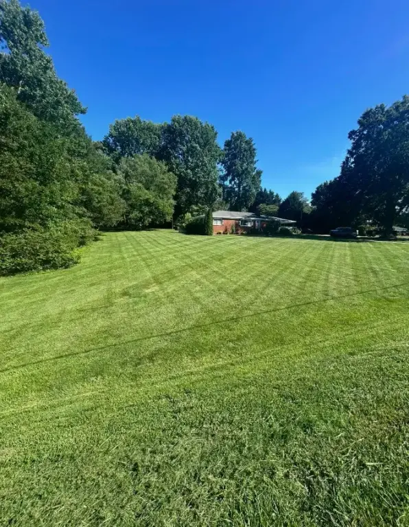 Lawn Care & Property Maintenance