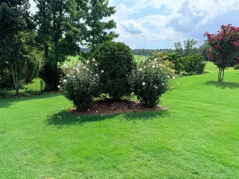 Landscape Design & Installation